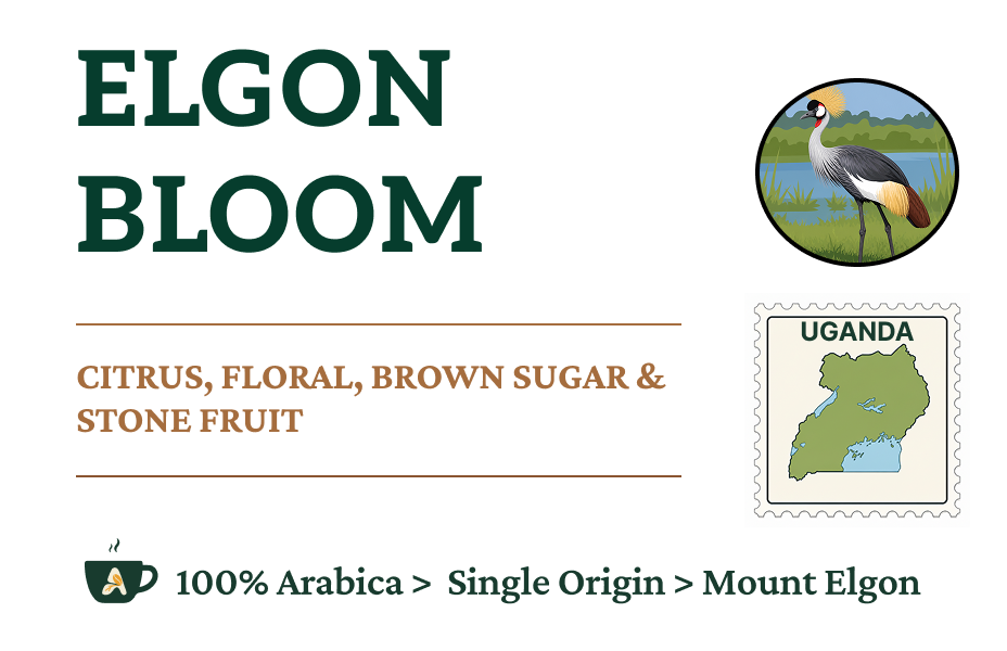 ELGON BLOOM